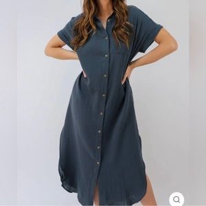 Bluivy Maternity Button Down Dress